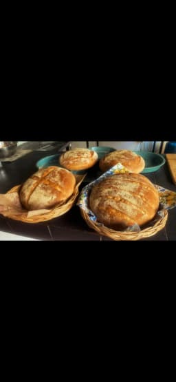 Pagnotta 500g